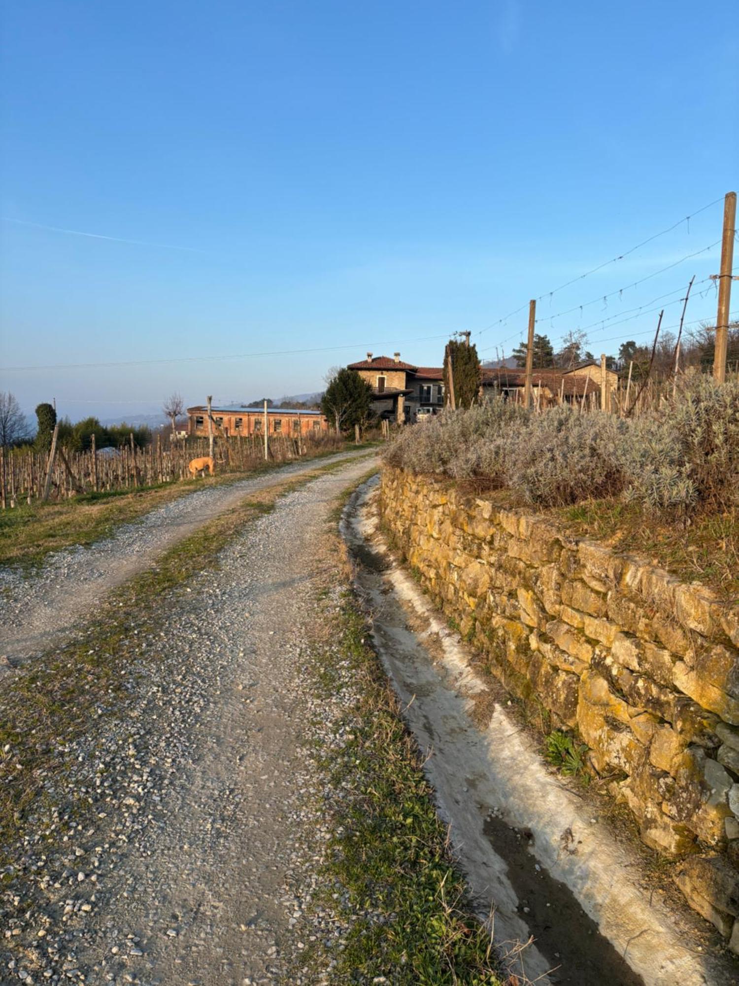 Agriturismo Tenuta San Giuseppe Коссано-Бельбо Экстерьер фото